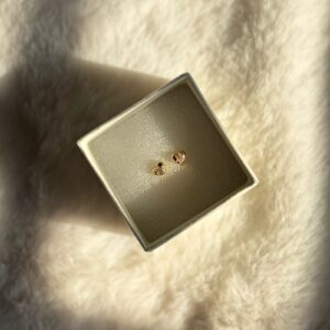 nova spike stud earrings (copy)