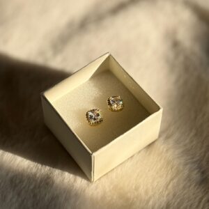 Home golden geo stud earrings (copy)