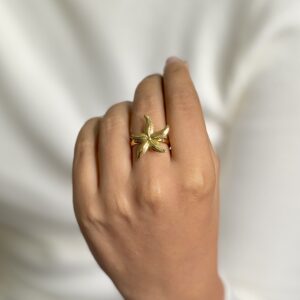 solena ring (adjustable)