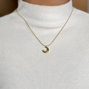 rose link necklace (copy)